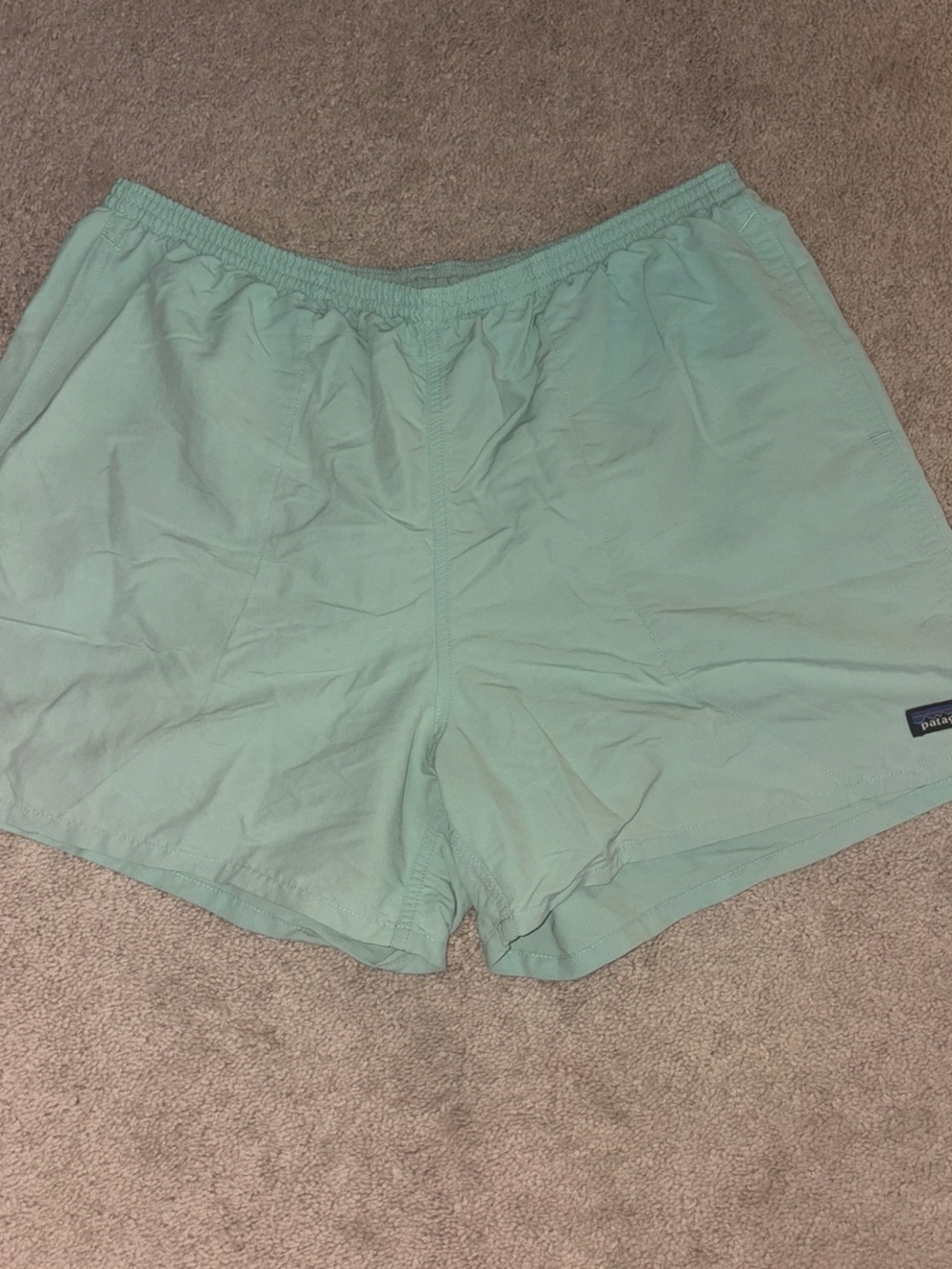 Patagonia Mint Green Pull-On Shorts